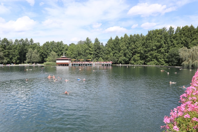 Inspiração Gremontavira